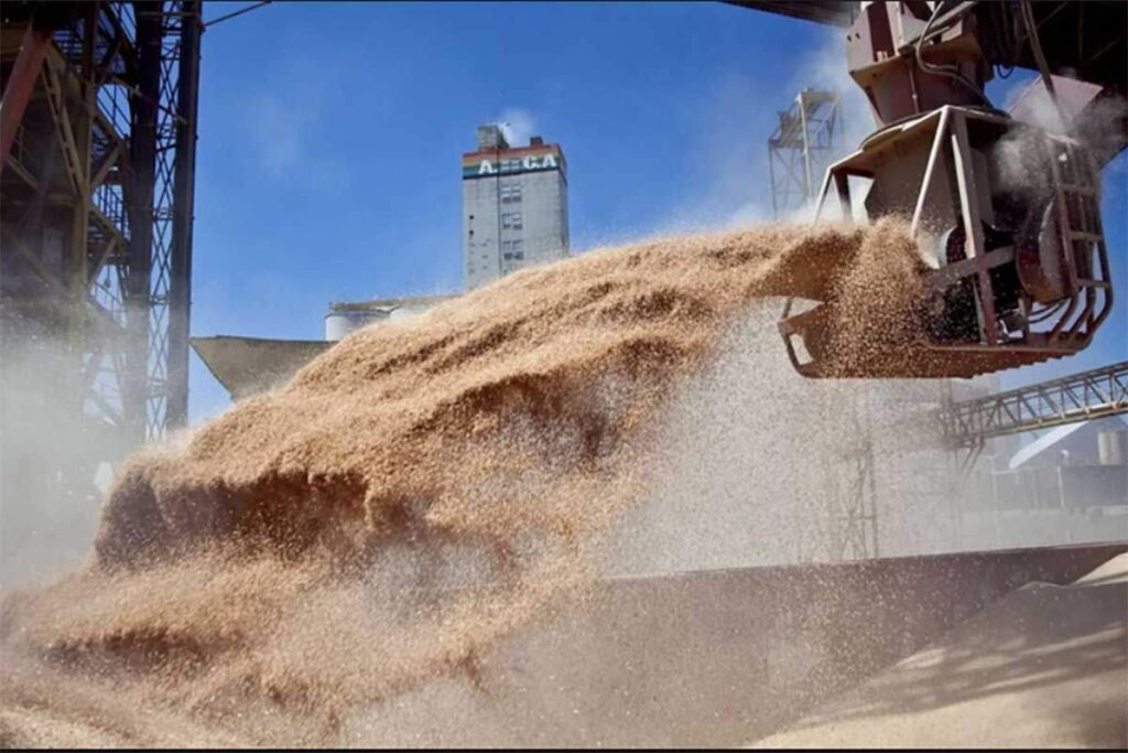 Cereales en Tren Belgrano Cargas.