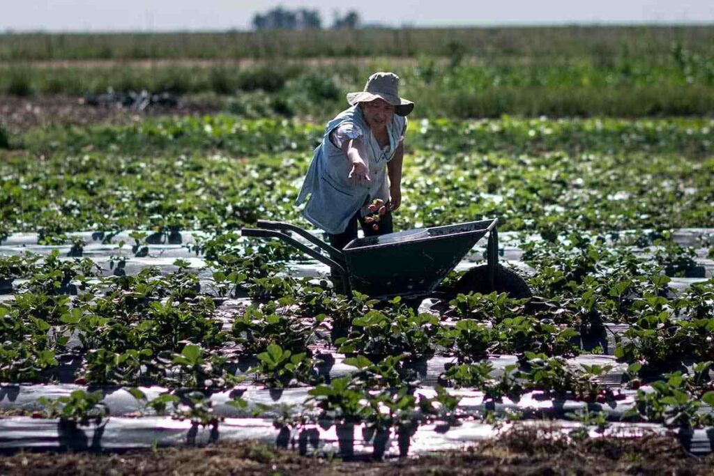 De las quintas a la universidad: la agroecología en expansión.