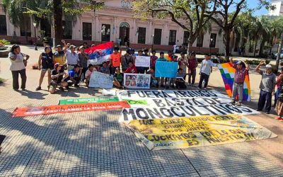 Resistencia Mbya Guaraní ante el extractivismo y el colonialismo del Estado