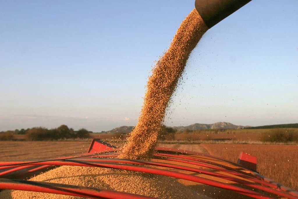 oja para exportación. Retenciones cero: una decisión financiera para los agroexportadores y políticas agrarias sin rumbo