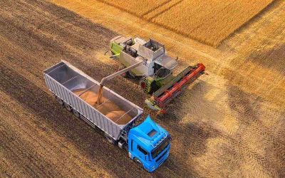 Un modelo de especulación financiera a pedir de las agroexportadoras y grandes productores