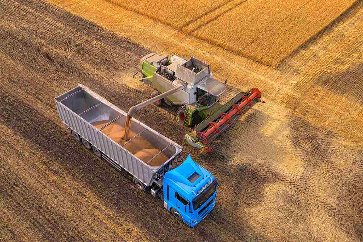 oja para exportación. Retenciones cero: una decisión financiera para los agroexportadores y políticas agrarias sin rumbo