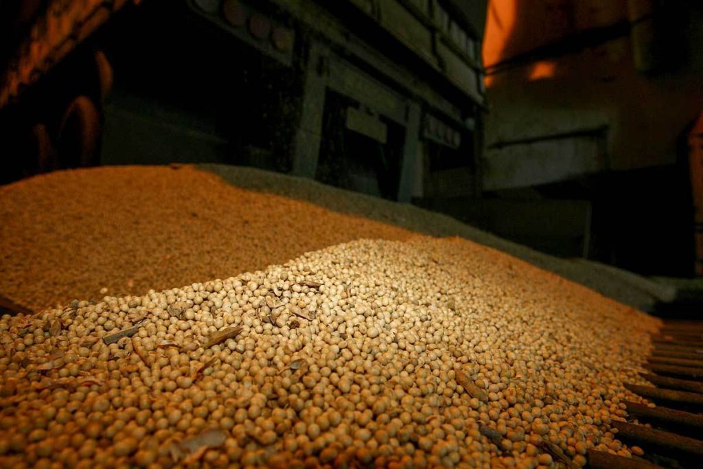 Soja para exportación. Retenciones cero: una decisión financiera para los agroexportadores y políticas agrarias sin rumbo