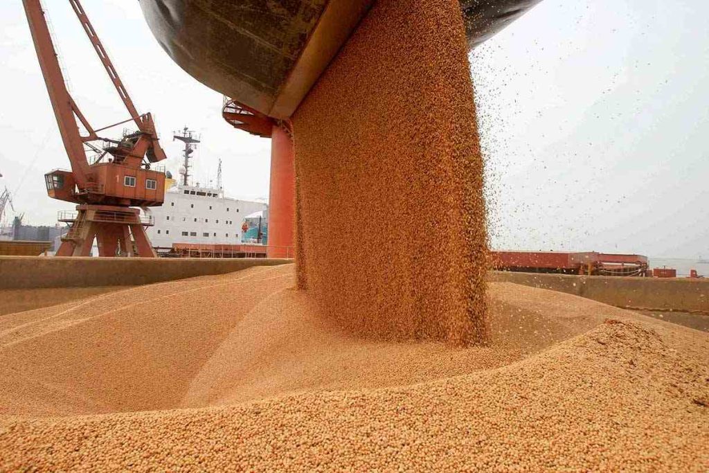 Retenciones cero: una decisión financiera para los agroexportadores y políticas agrarias sin rumbo