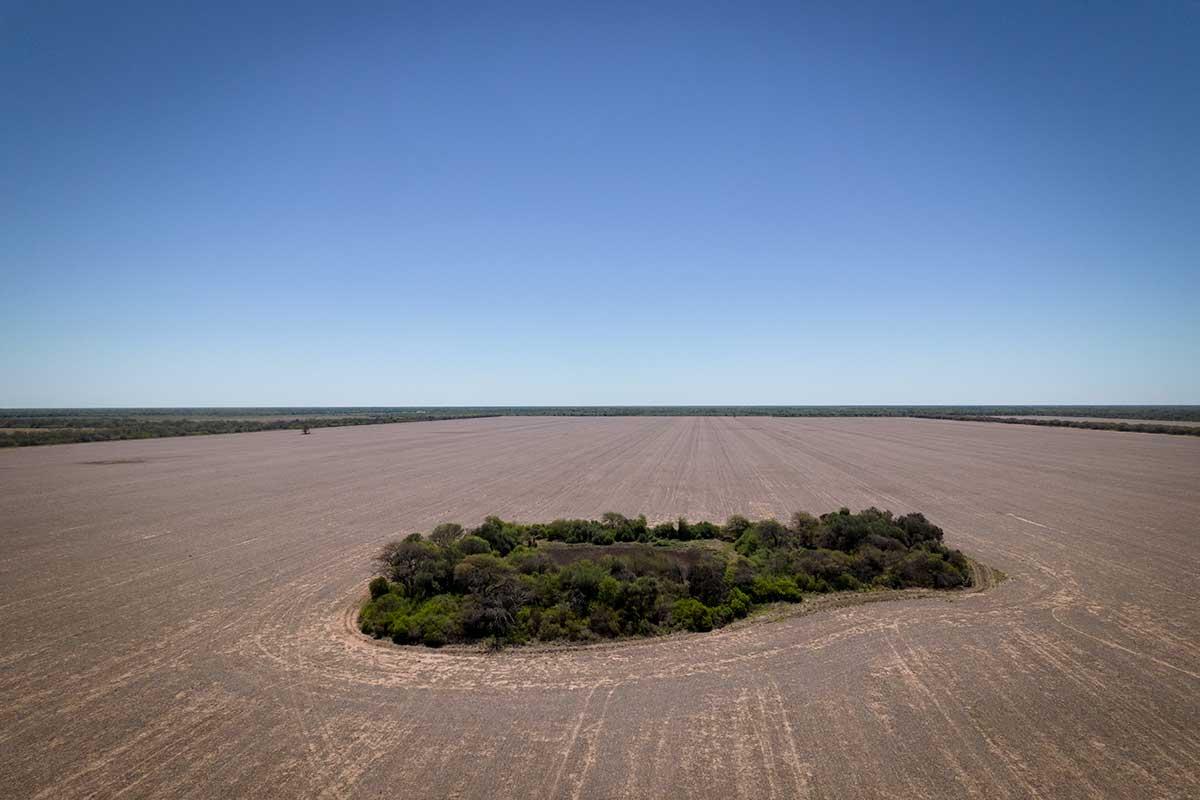 Desmontes en el Chaco