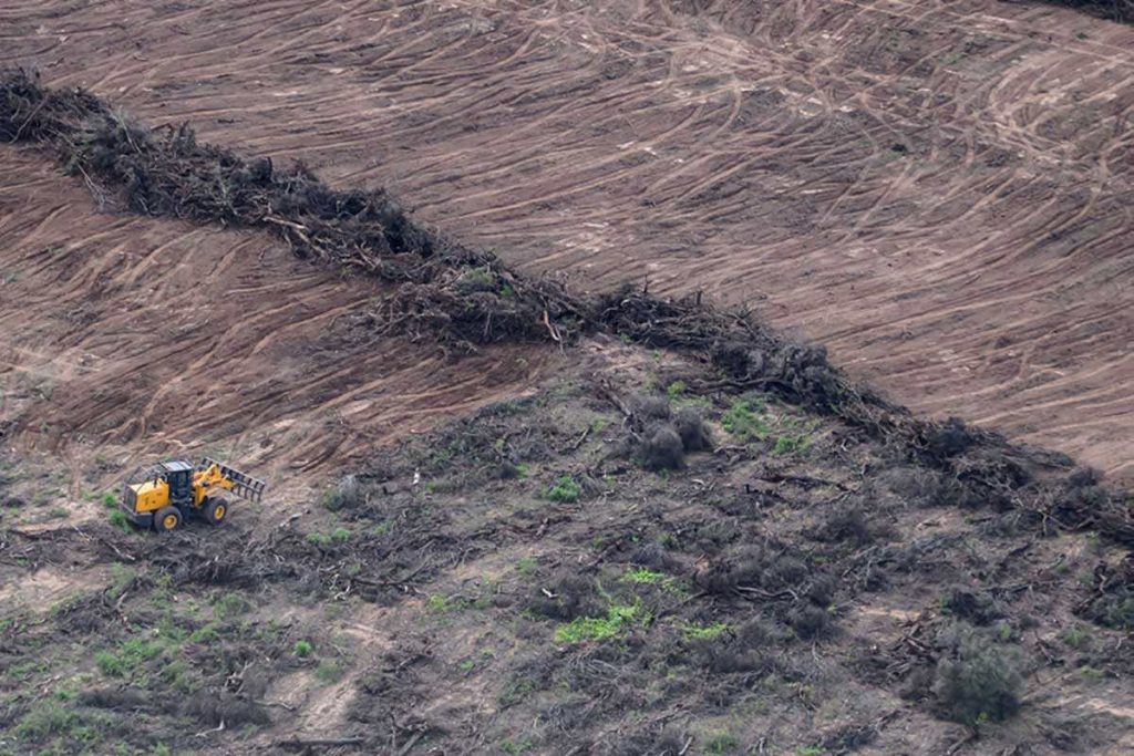 Desmontes en la provincia de Formosa.