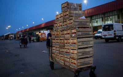 El costo de la política de Milei: alimentos caros y productores en crisis