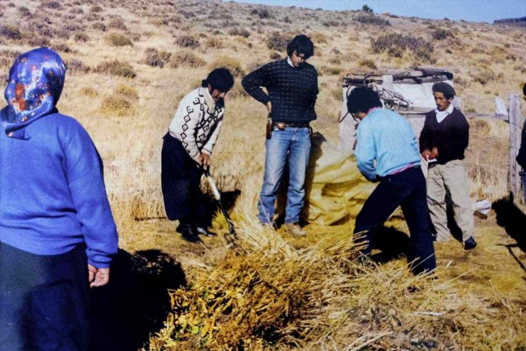 Tareas de capacitación en Las Bayas II