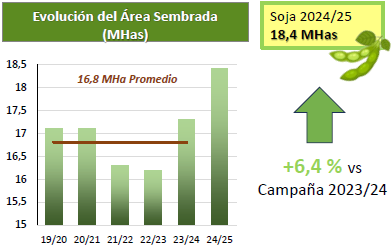 Gráfico 1: Fuente: Bolsa de Cereales de Buenos Aires, Informe Cierre de campaña Soja 2024/2025.