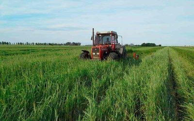 La agroecología en forma de mapa: 15.000 hectáreas productivas sin venenos