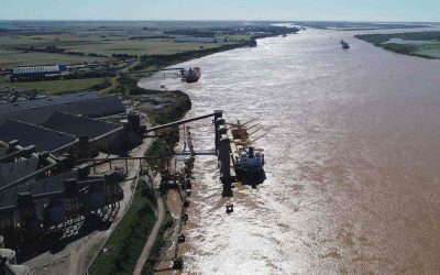 Milei y la soja: los peores negocios para la soberanía