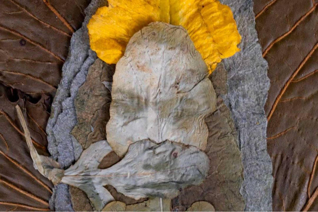 Otra fotografía posible