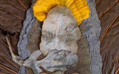 Otra fotografía posible