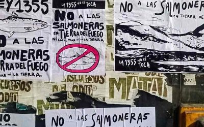 Lejos del pueblo y cerca de las empresas: la Legislatura de Tierra del Fuego habilitó las salmoneras