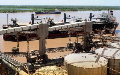 ¿Todos somos Vicentin? Apuntes para recuperar soberanía