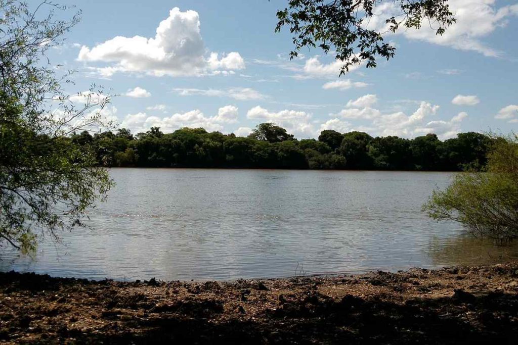 Hidrógeno verde, Paisandú