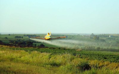 El agronegocio en el banquillo: juicio por contaminación con agrotóxicos en Pergamino