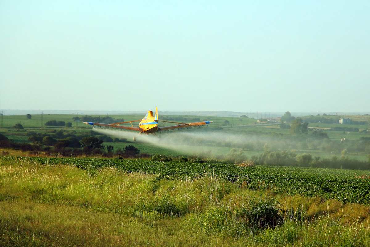 Inició el juicio a productores y ex funcionarios por contaminar con agrotóxicos en Pergamino