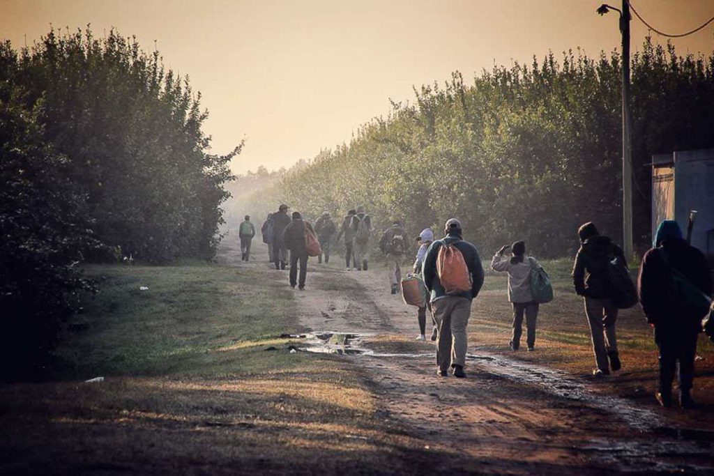 Trabajadores rurales reforma laboral