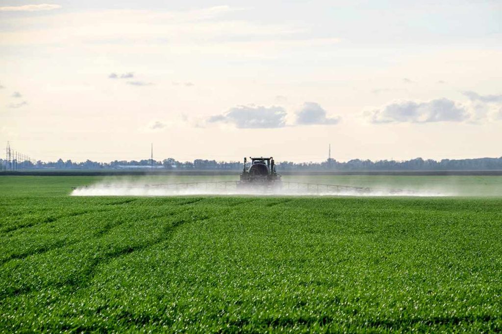 30 años de soja transgénica