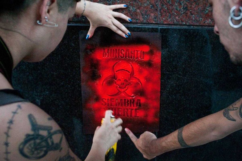 30 años de soja transgénica