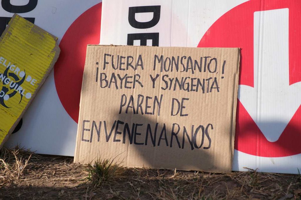 30 años de soja transgénica