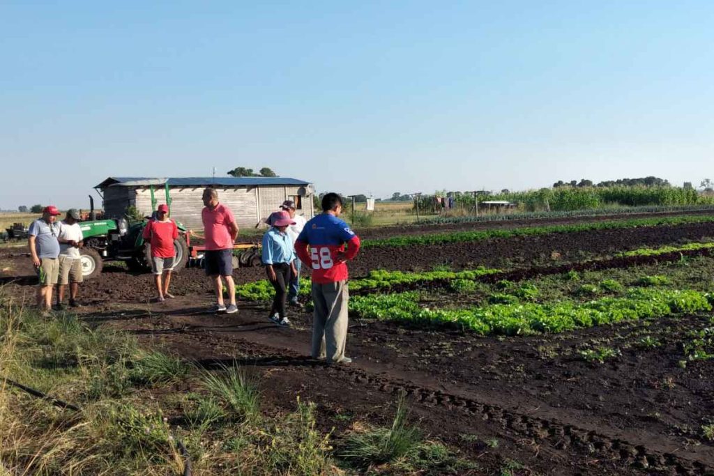 Cooperativa Madre Tierra