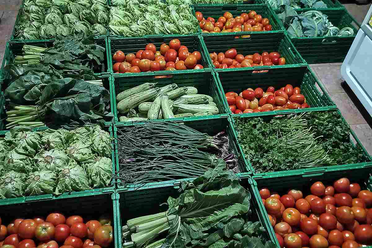 Cooperativa Madre Tierra