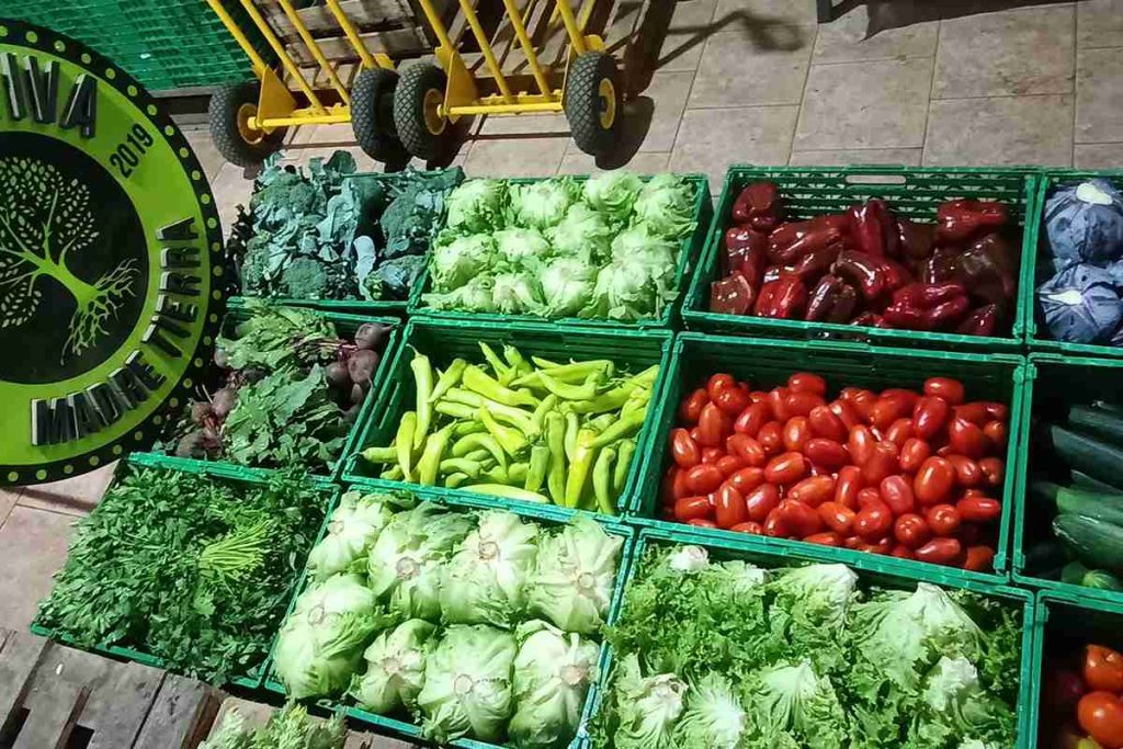 Cooperativa Madre Tierra