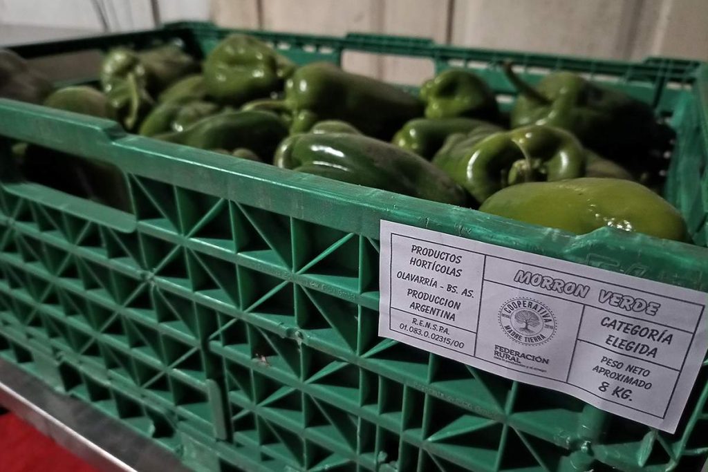 Cooperativa Madre Tierra