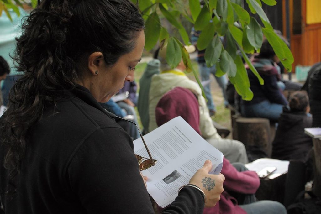 Curso de Reforestación UTT Patagonia