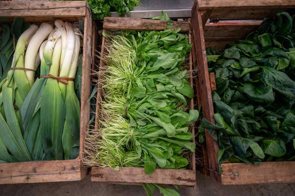 Agroecología corriente de pensamiento poderosa