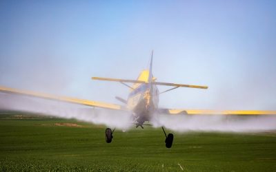 Patrones de estancia del siglo XXI: el caso Pergamino y la violencia del agronegocio