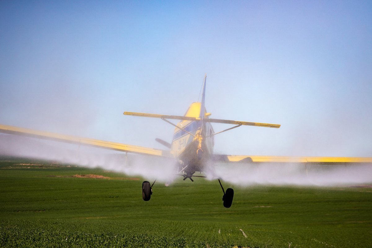 Pergamino, agronegocios y amenazas