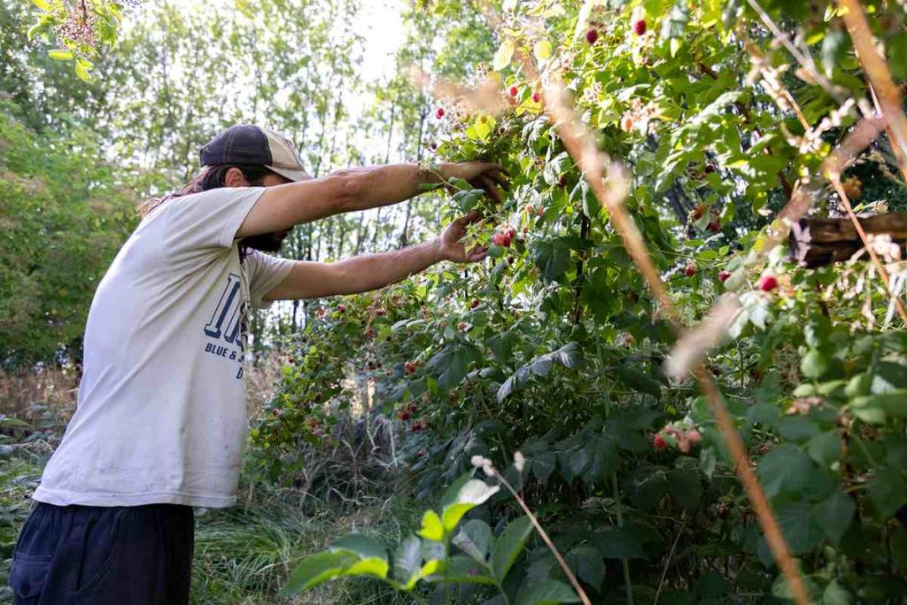 Soberanía alimentaria en Argentina