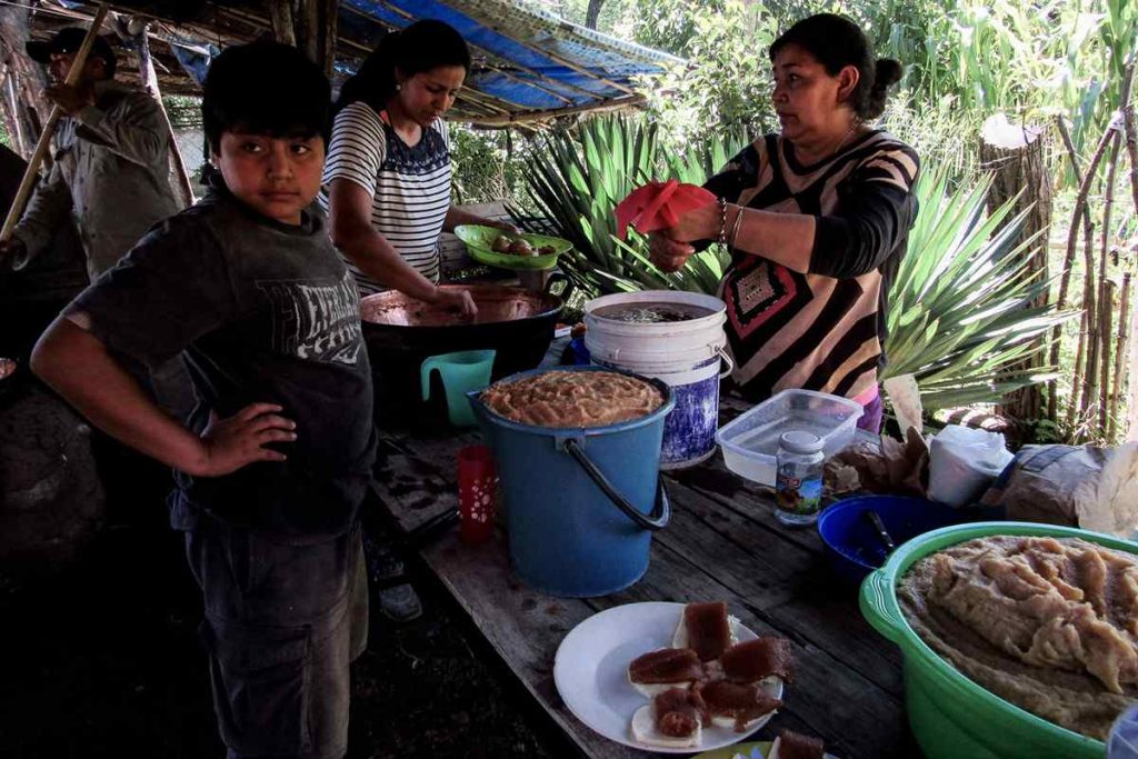 Soberanía alimentaria en Argentina