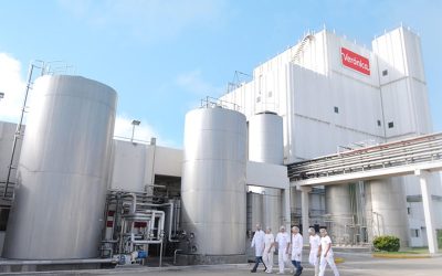 Crisis en la cadena láctea: menos consumo y más concentración