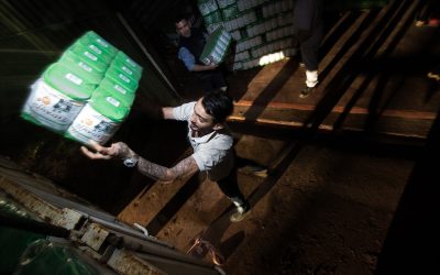 Tierra, trabajo y justicia: 40 años de cooperativismo y arraigo rural en el corazón de Misiones