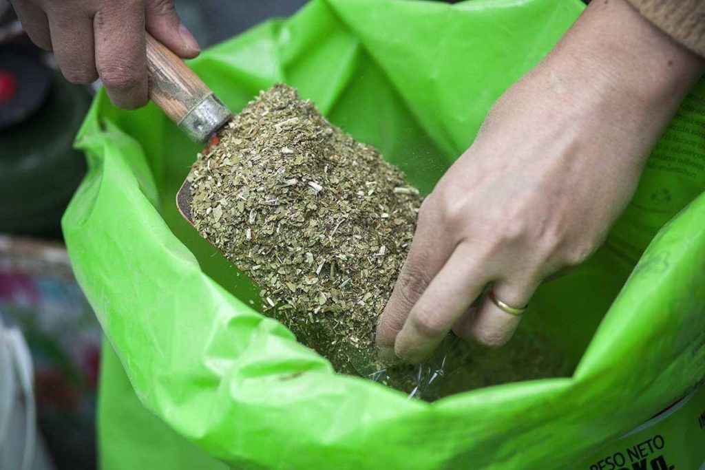 Yerba mate Titrayju