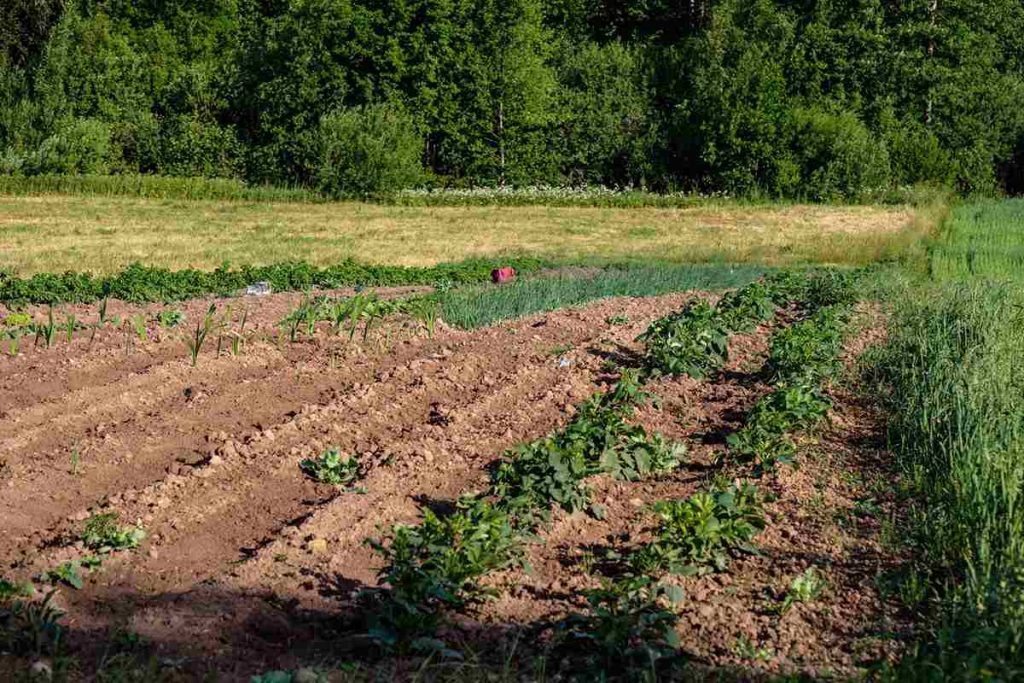 Beneficios de la agroecología