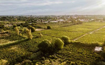 Replicar la agroecología para dejar atrás el uso de agroquímicos en América Latina