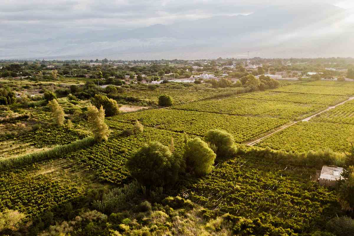 Beneficios de la agroecología