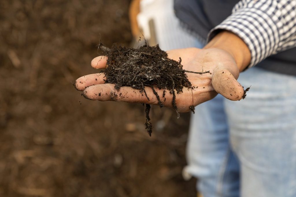 Beneficios de la agroecología