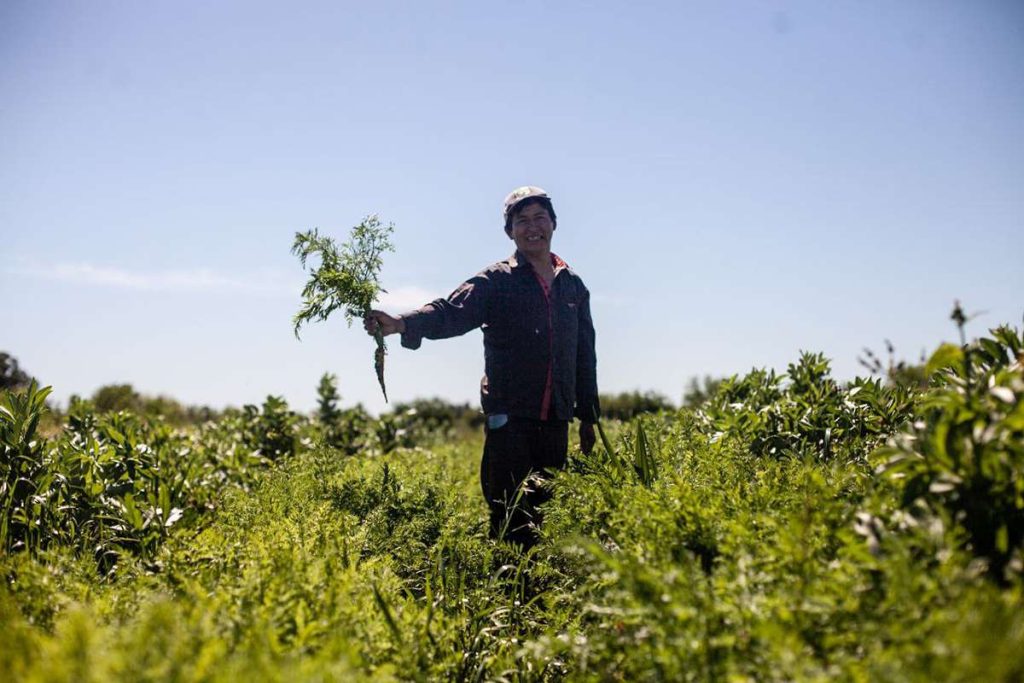 Caracoles y hormigas, resistir desde la agroecología