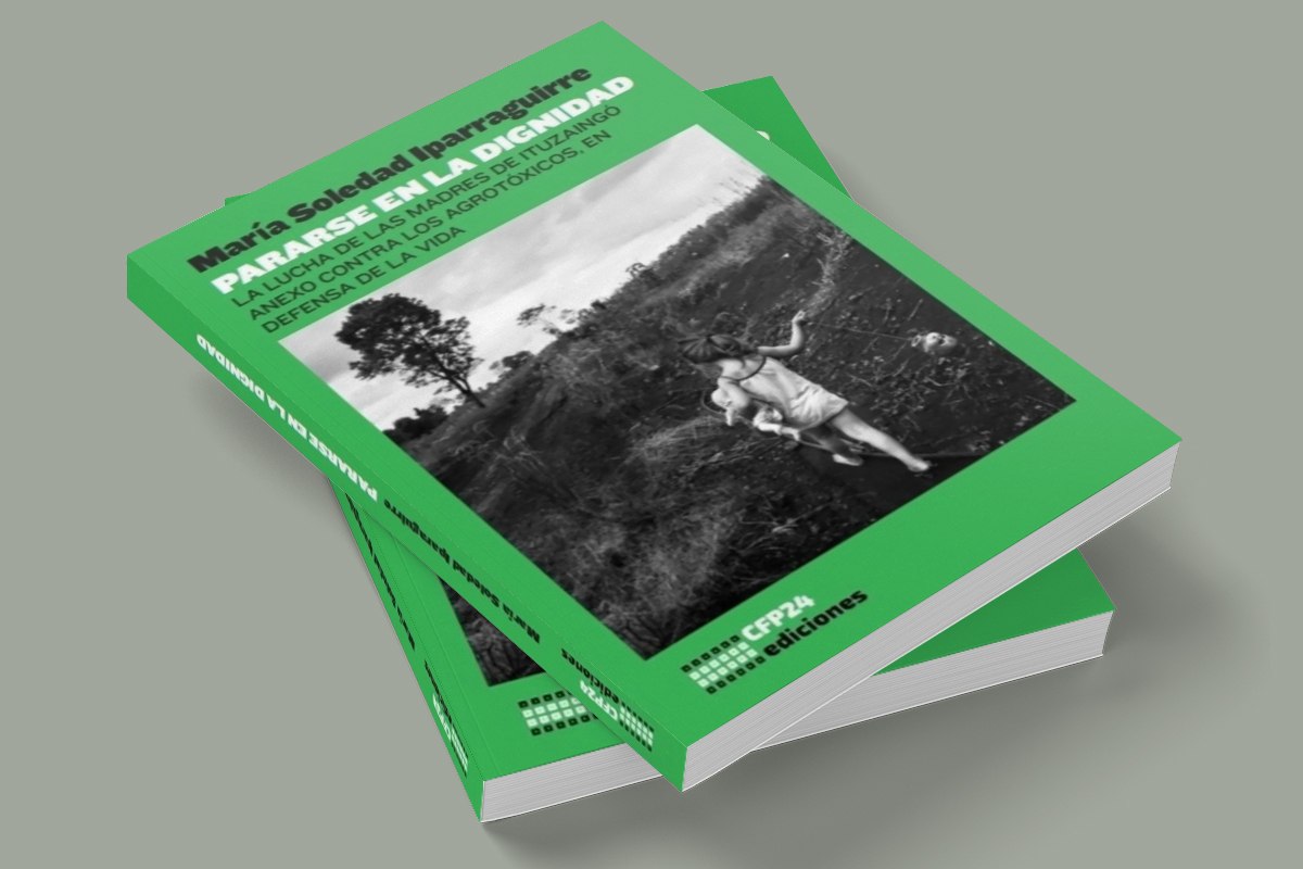 María Soledad Iparraguirre. Libro, "Pararse en la dignidad". La lucha de las madres de Ituzaingó anexo