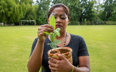 Perutí: una yerba mate con sabor mbya guaraní