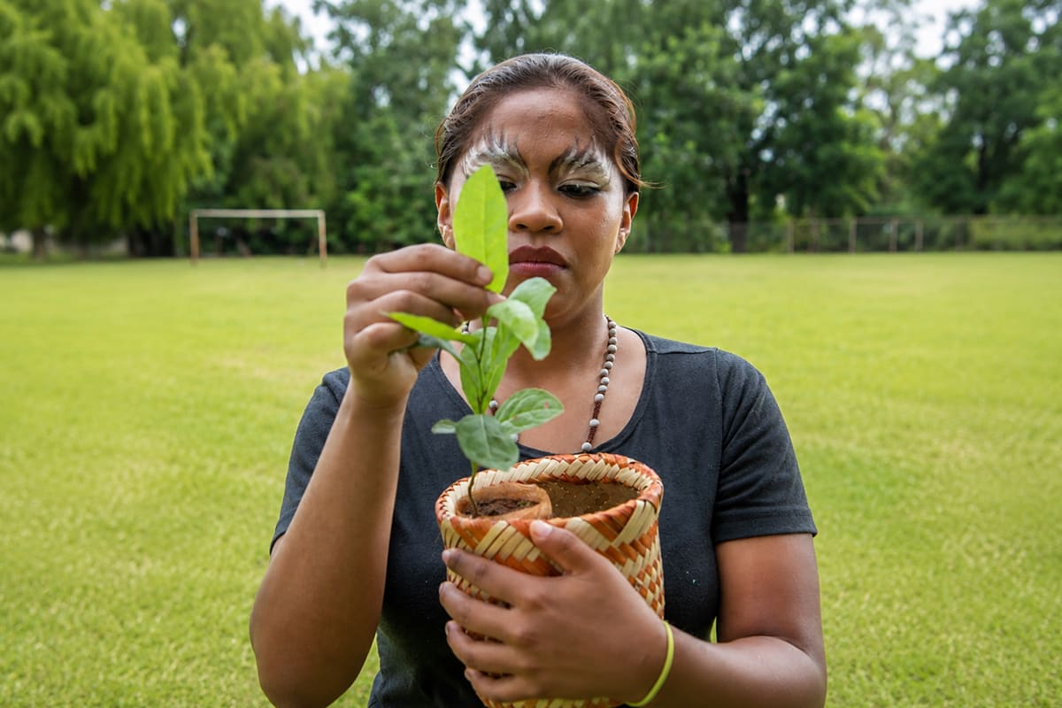 Perutí: yerba mate desde la cosmovisión guaraní