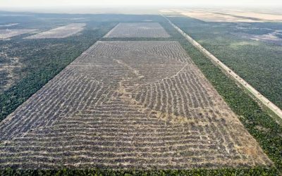 De eso no se habla: la tierra para qué y para quién