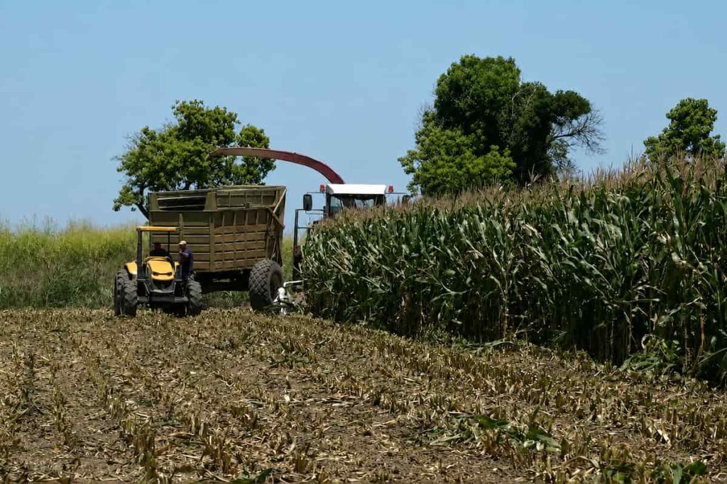 Una cooperativa entre Santa Fe y Córdoba para salvar la producción lechera