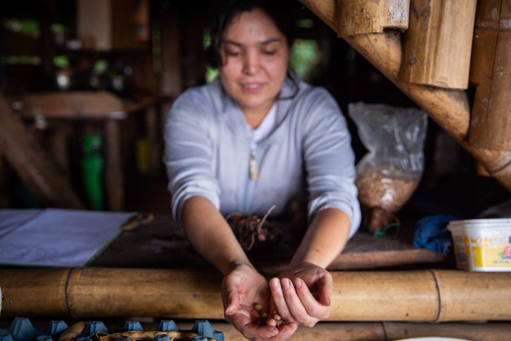 El campo colombiano siembra la paz